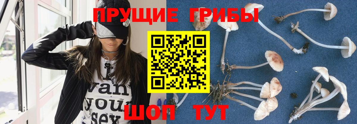 Галлюциногенные грибы мицелий  Вход с VPN  Приморско-Ахтарск 