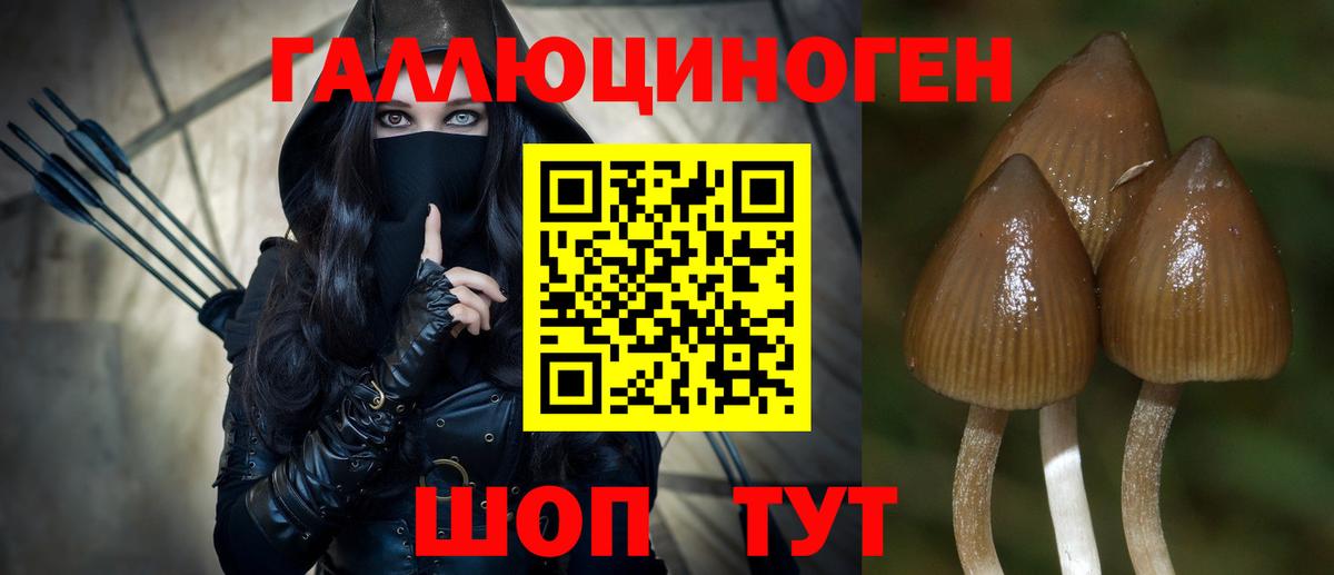 Псилоцибиновые грибы Psilocybine cubensis Приморско-Ахтарск